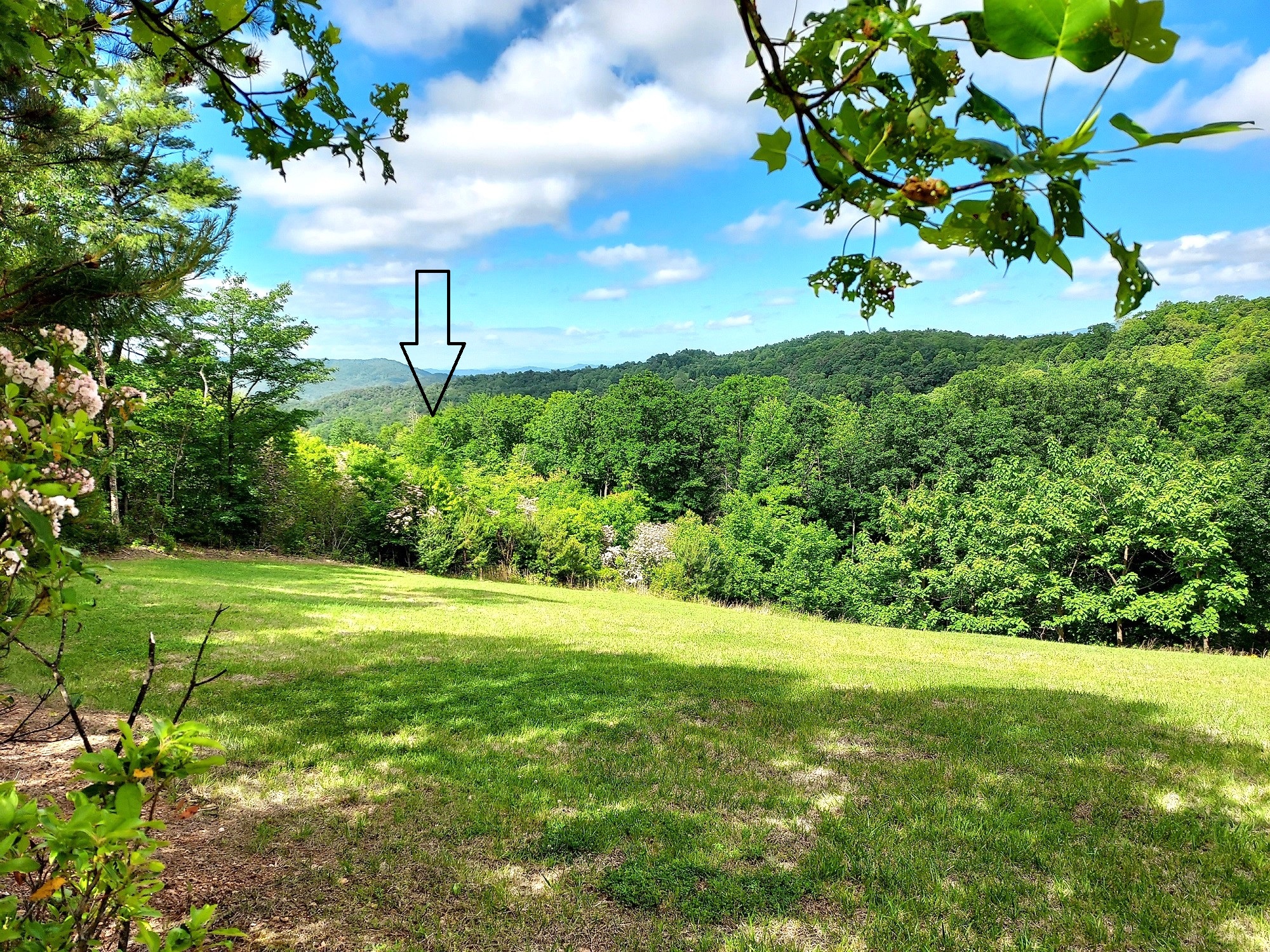 15 ACRES OF NORTH CAROLINA MOUNTAIN LAND FOR SALE
