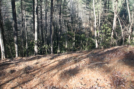LAND DEAL ON LEATHERWOOD MOUNTAIN READY FOR BUILDER