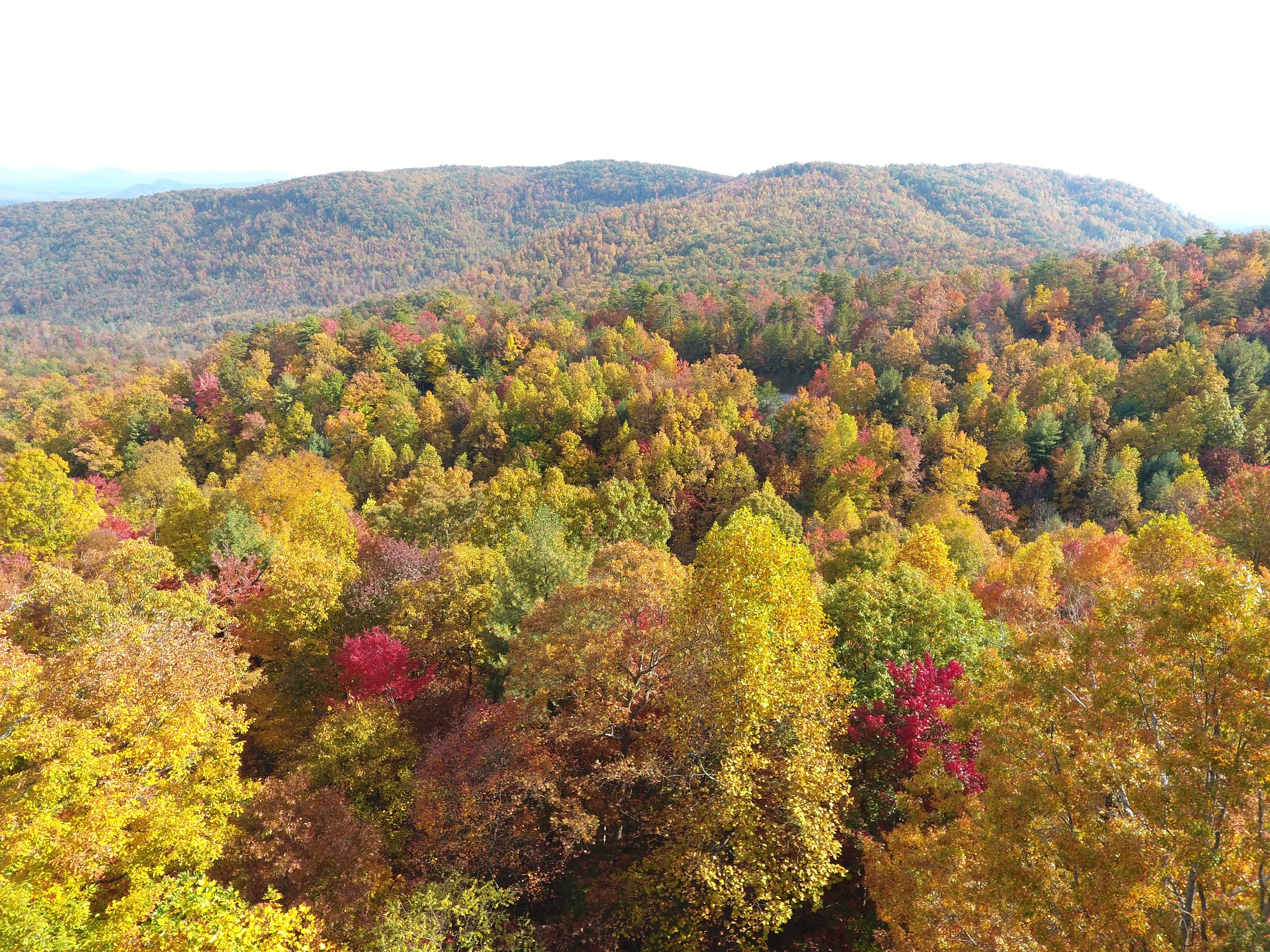 MOUNTAIN VIEW LAND TRACT IN WESTERN NORTH CAROLINA TRACT 81