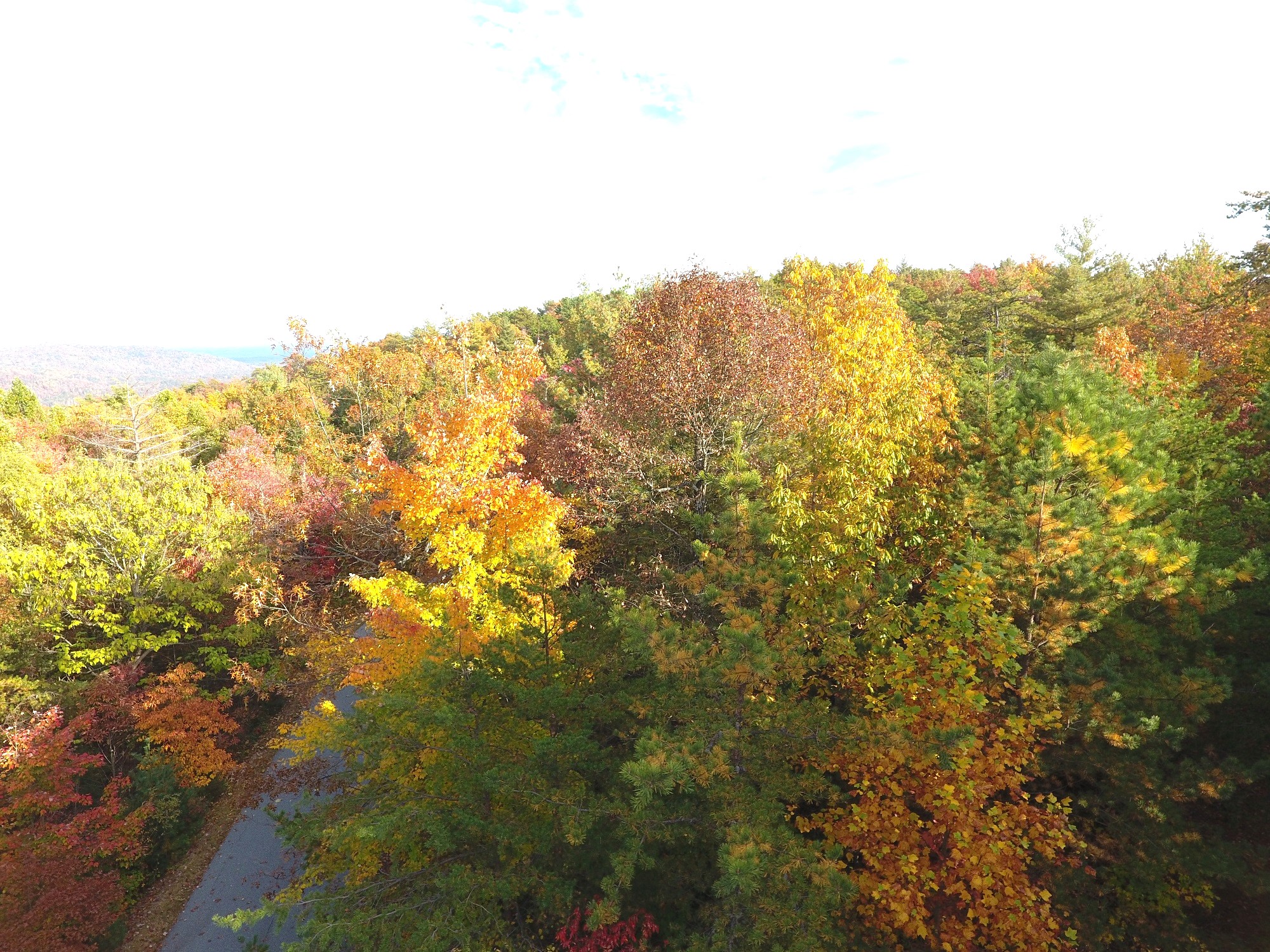 BUILDING TRACT IN ESTABLISHED COMMUNITY WESTERN NORTH CAROLINA #82