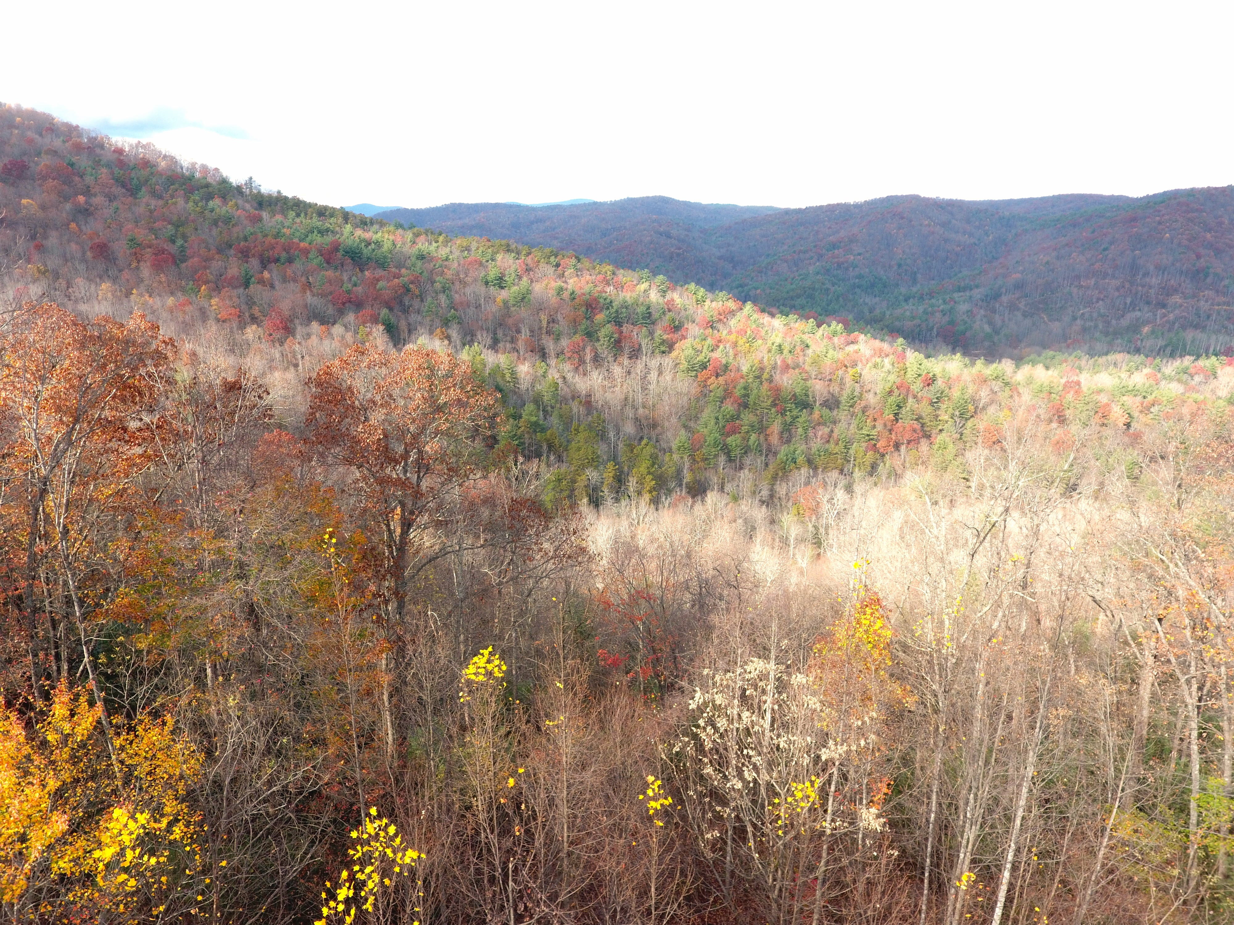 REDUCED*******LARGE TRACT OF MOUNTAIN LAND WESTERN NORTH CAROLINA FOR SALE