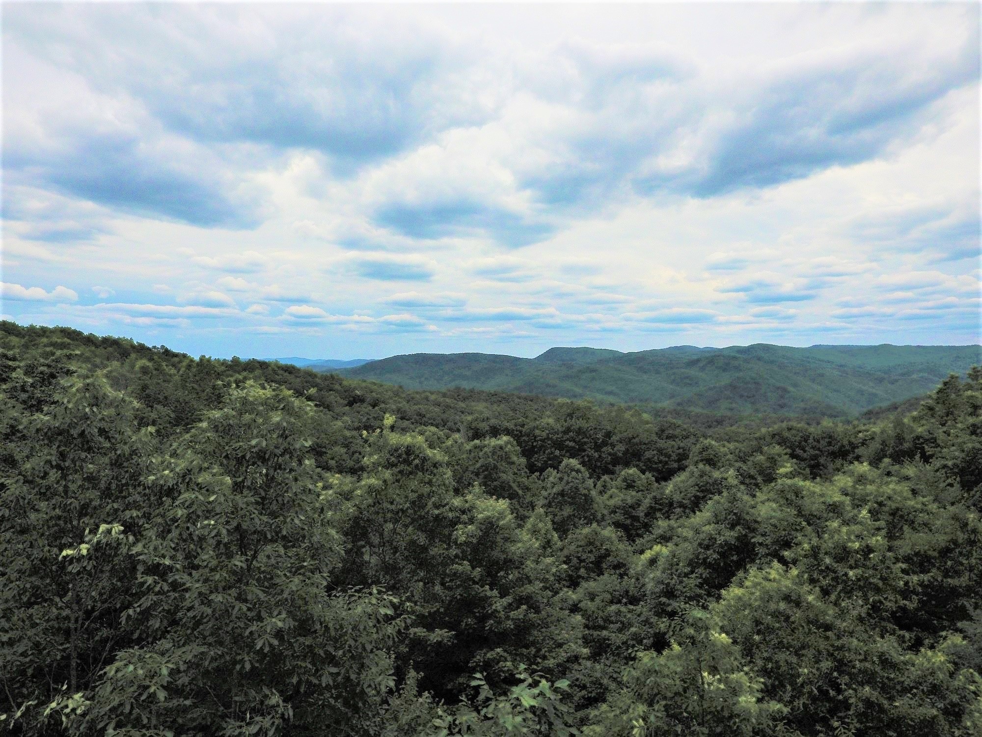 GREAT BUILD SITE ON LEATHERWOOD MOUNTAIN WITH INCREDIBLE VIEWS