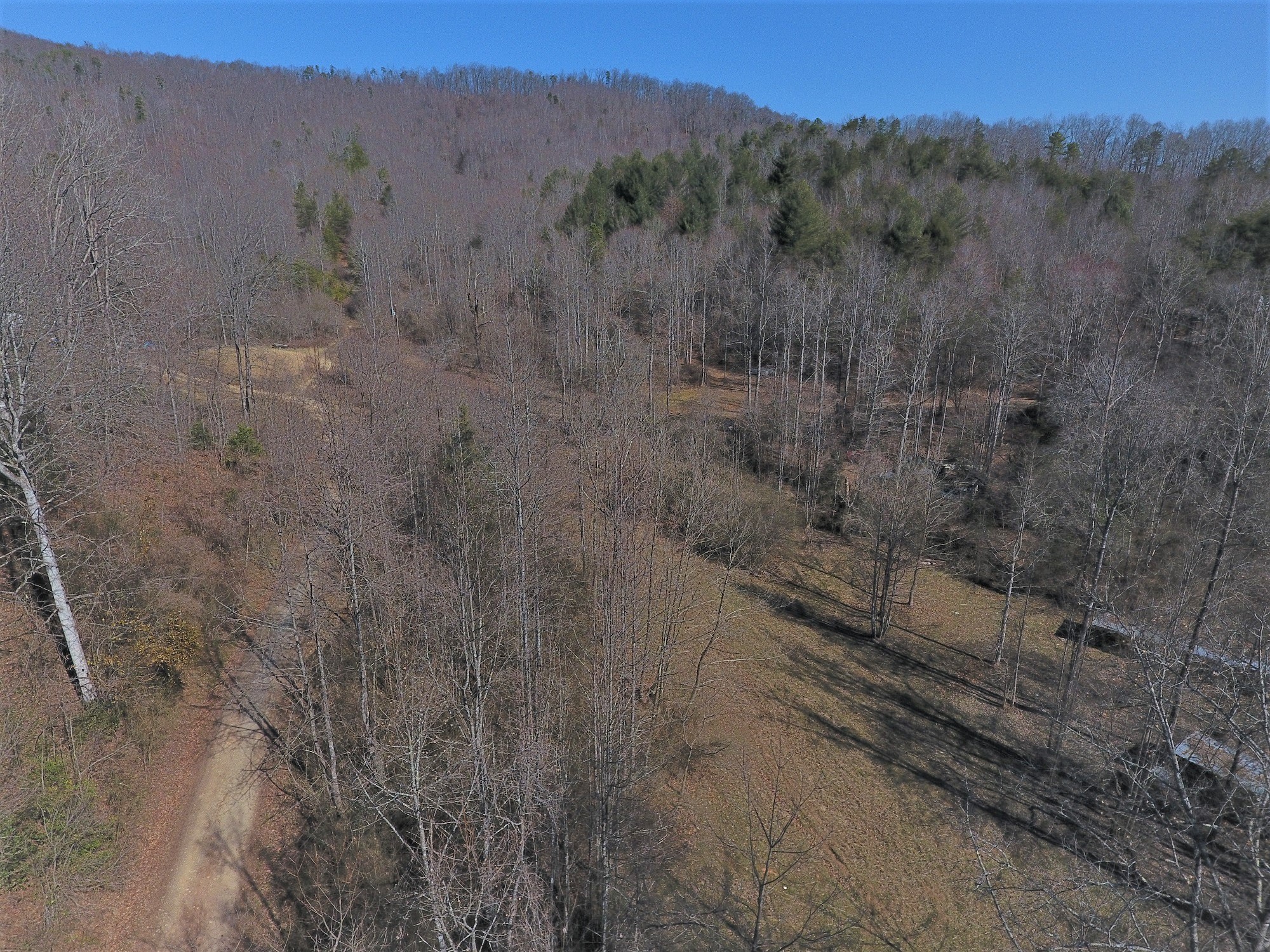SOLD   10+- ACRES FOR SALE IN WILKES COUNTY