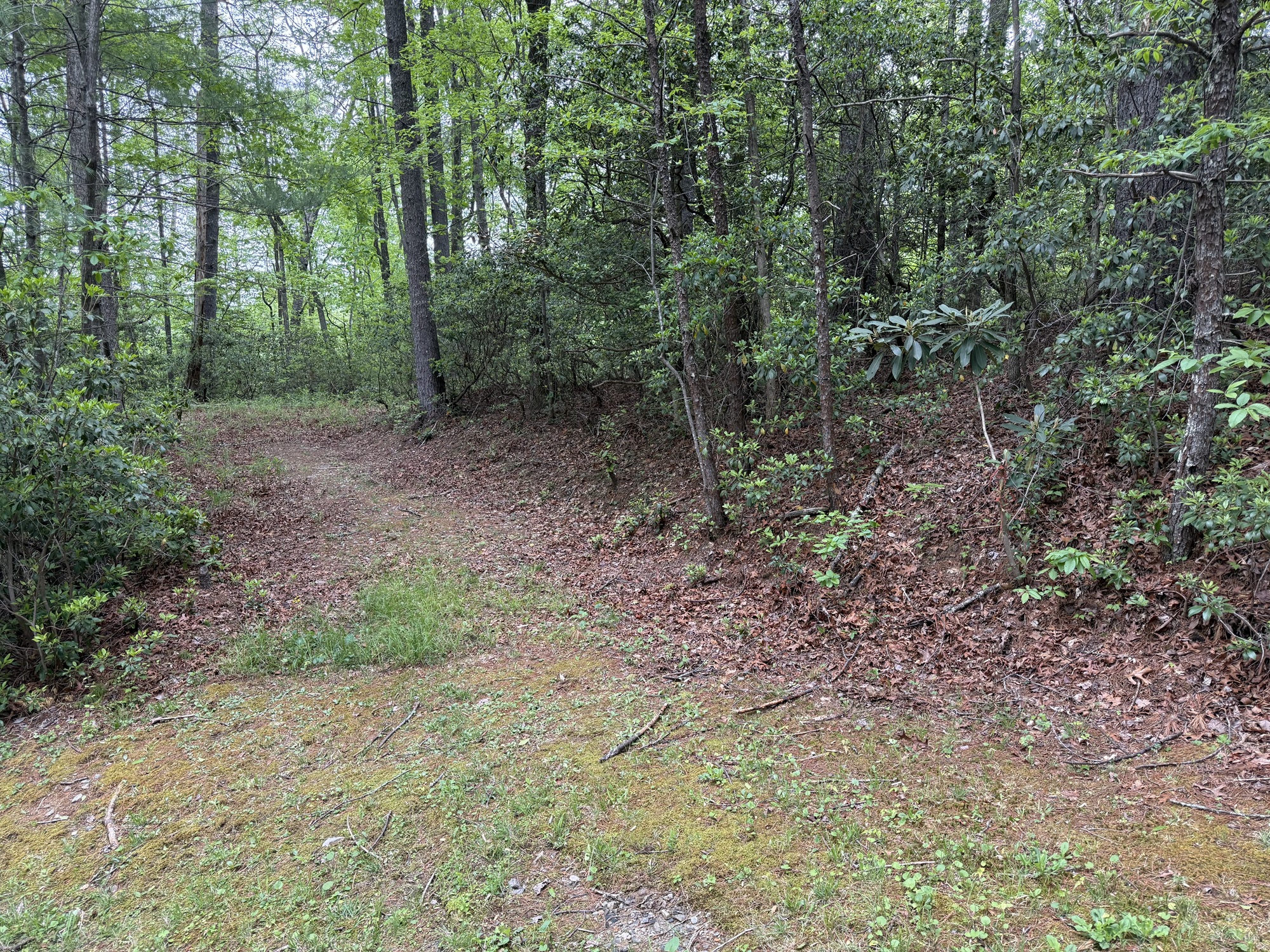 5 ACRES ON LEATHERWOOD MOUNTAIN FOR SALE